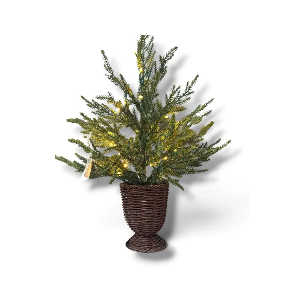 My Texas House 2' Pre-Lit Norfolk Pine Christmas Tree 30 Twinkle LEDs 2026
